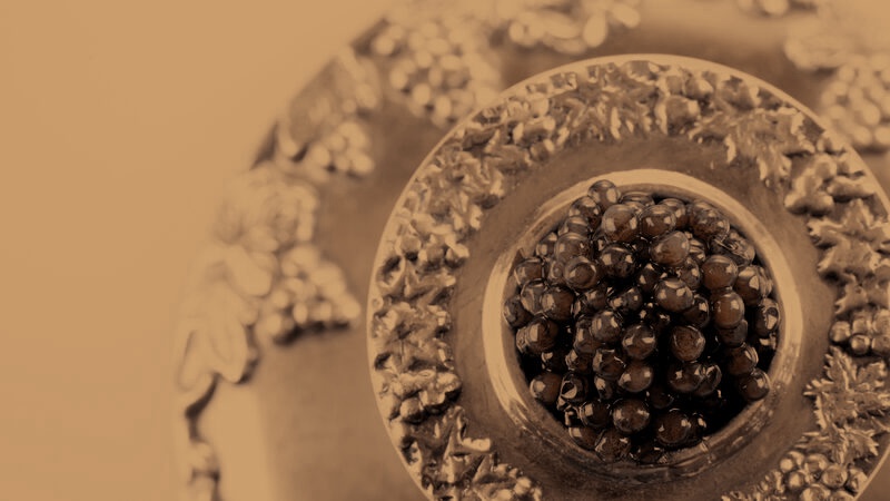 Siberian sturgeon caviar premium pearls on serving spoon - Cerealia Caviar